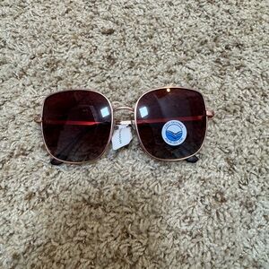 Anthropologie Rose Gold Sunglasses